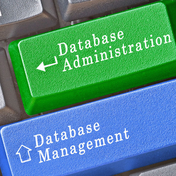 Keyboard showing keys named Database Adminstration and Database Management
